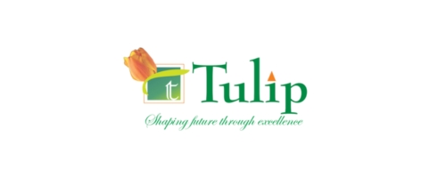 tulip infratech